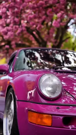 Pink Porsche 🌸🚗
