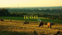 Travel Vlog
