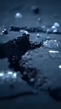 Logo Intro 