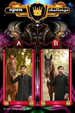 Voting A/B tample 