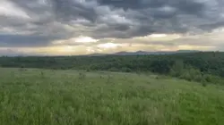 TREND TIKTOK 
