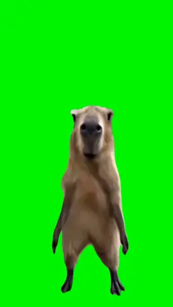 MEME FUNNY