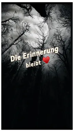 Die Erinnerung ♥️
