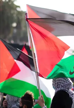 Free Palestine 🇵🇸 