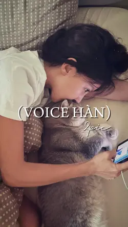 voice Hàn