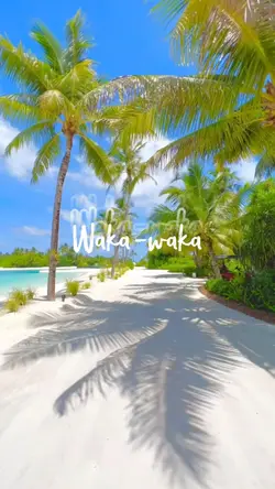 Waka waka ee ee