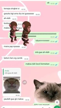 ss chat monyet joget