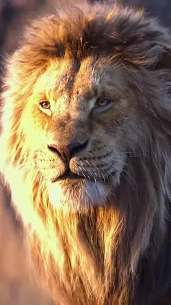 Lion trend