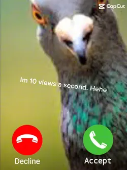 10 views a second 