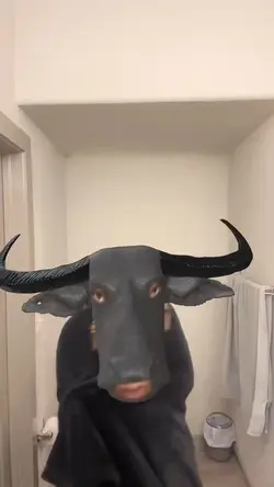 ai buffalo
