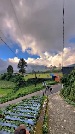 HD JERNIH