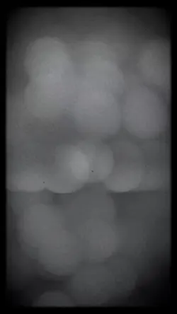 Vivid Transition