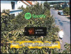 Spotify Streams 