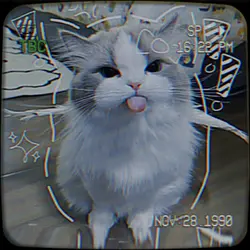 CUTE² kity nostalgic