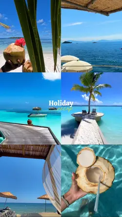 Holiday Recap
