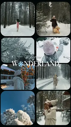 Winter Wonderland❄️