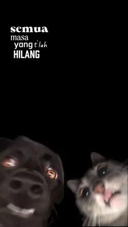 andai inginmengulang
