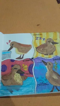 Drawing