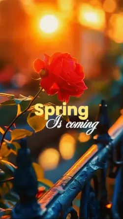 Spring is coming