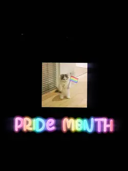 LGBT 🏳️‍🌈