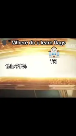 Where I learn flags