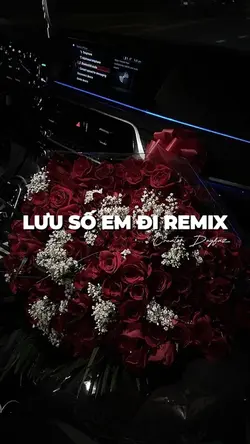 LƯU SỐ EM ĐI REMIX📍