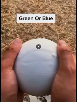 Green or blue? ☺️