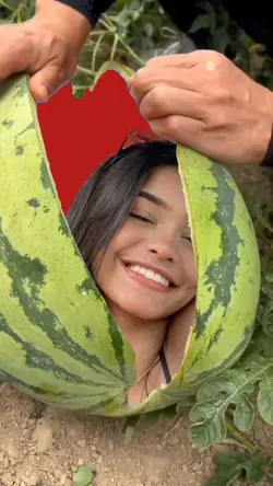 MELANCIA 