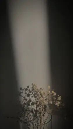 2 Ảnh