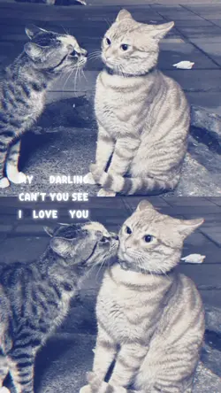 Only me and you