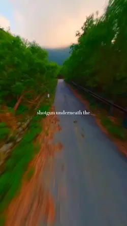 shotgun