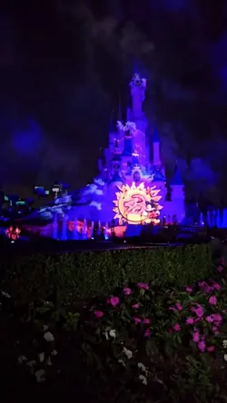 A whole new world 