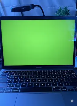 Greenscreen macbook