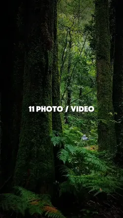 11 photo/ video