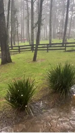 Has visto la lluvia 
