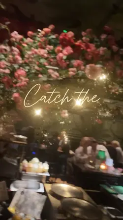 Catch the moment ✨
