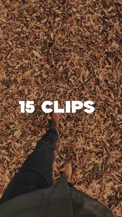 Velocity 15 Clips
