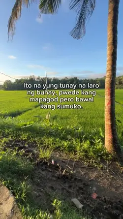 bawal kang sumuko