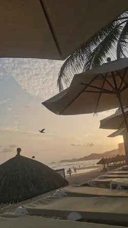 Amo los atardeceres 
