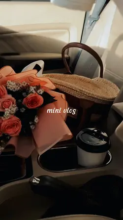 mini vlog
