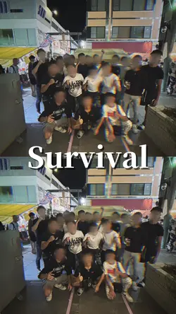 8枚