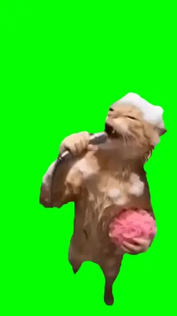 cat singing