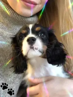 Puppy 🐶 Love ❤️ 
