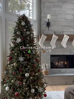 christmas dump 