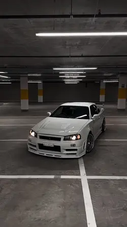 CAR >NEW 🐶🗡️