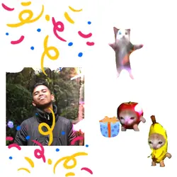 HBD Cat