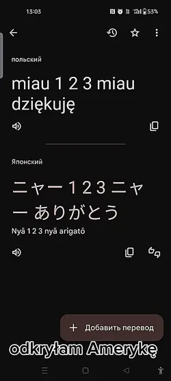 nya __