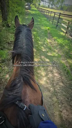 girl and her gelding