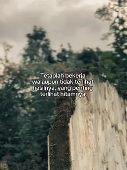 Bahan sw