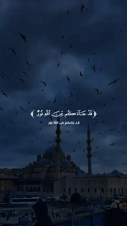 يهديهم إلى صراط 